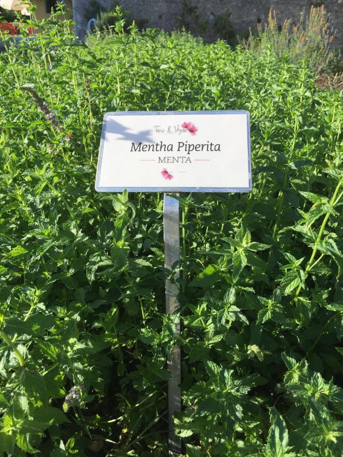 Fiori&Vigne Di Cecilia Marcon Βίλα Farra di Soligo Εξωτερικό φωτογραφία