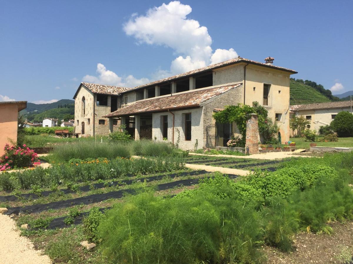 Fiori&Vigne Di Cecilia Marcon Βίλα Farra di Soligo Εξωτερικό φωτογραφία