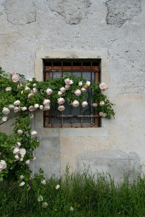 Fiori&Vigne Di Cecilia Marcon Βίλα Farra di Soligo Εξωτερικό φωτογραφία